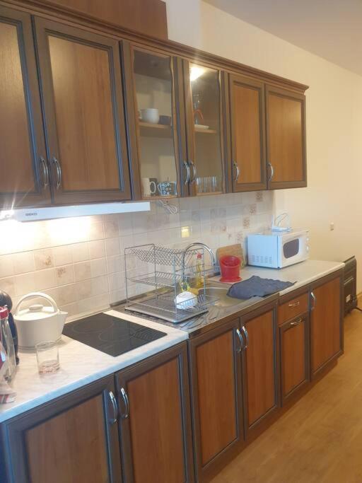 Studio Silver Terace With Sea View For 4 Person Byala  Eksteriør billede