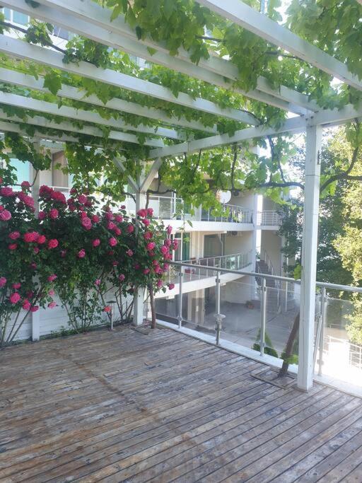 Studio Silver Terace With Sea View For 4 Person Byala  Eksteriør billede